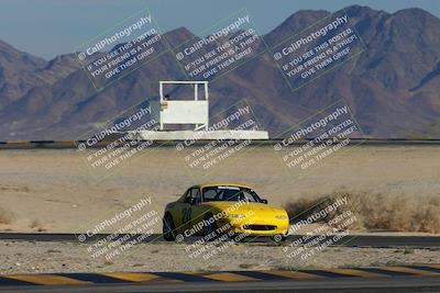 media/Nov-23-2024-Nasa (Sat) [[59fad93144]]/HPDE 1-2/Session 3 Turn 4 Tree of Life/
